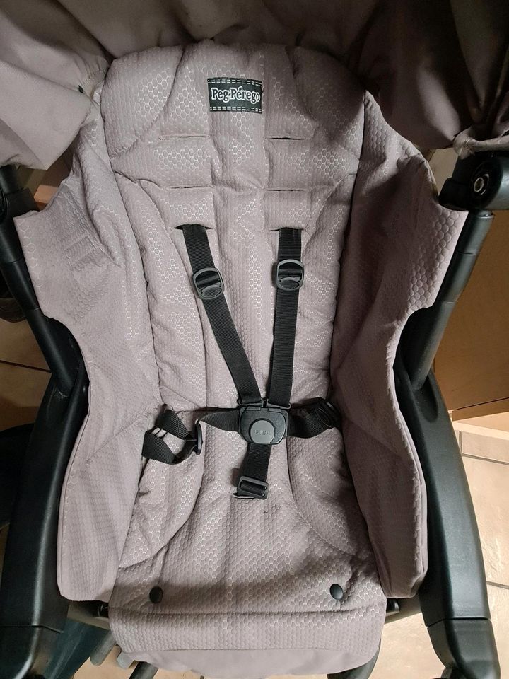 Peg Perego Aria Shopper in Barbelroth