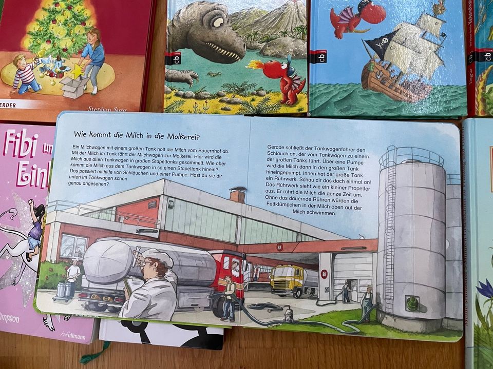 Verschiedene Kinderbücher, auch Bilderbücher in Weinheim