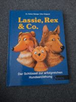 Lassie, Rex & Co. Der Schlüssel zur erfolgreichen Hundeerziehung Hamburg - Harburg Vorschau