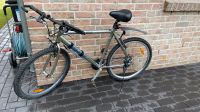 BerGaMont RacePro Metal Herrenrad Mountainbike 52cm 20,4“ Schleswig-Holstein - Reinfeld Vorschau