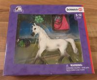 Schleich Set Horse Club Set 41447 Araberstute mit Decke Sachsen - Taucha Vorschau