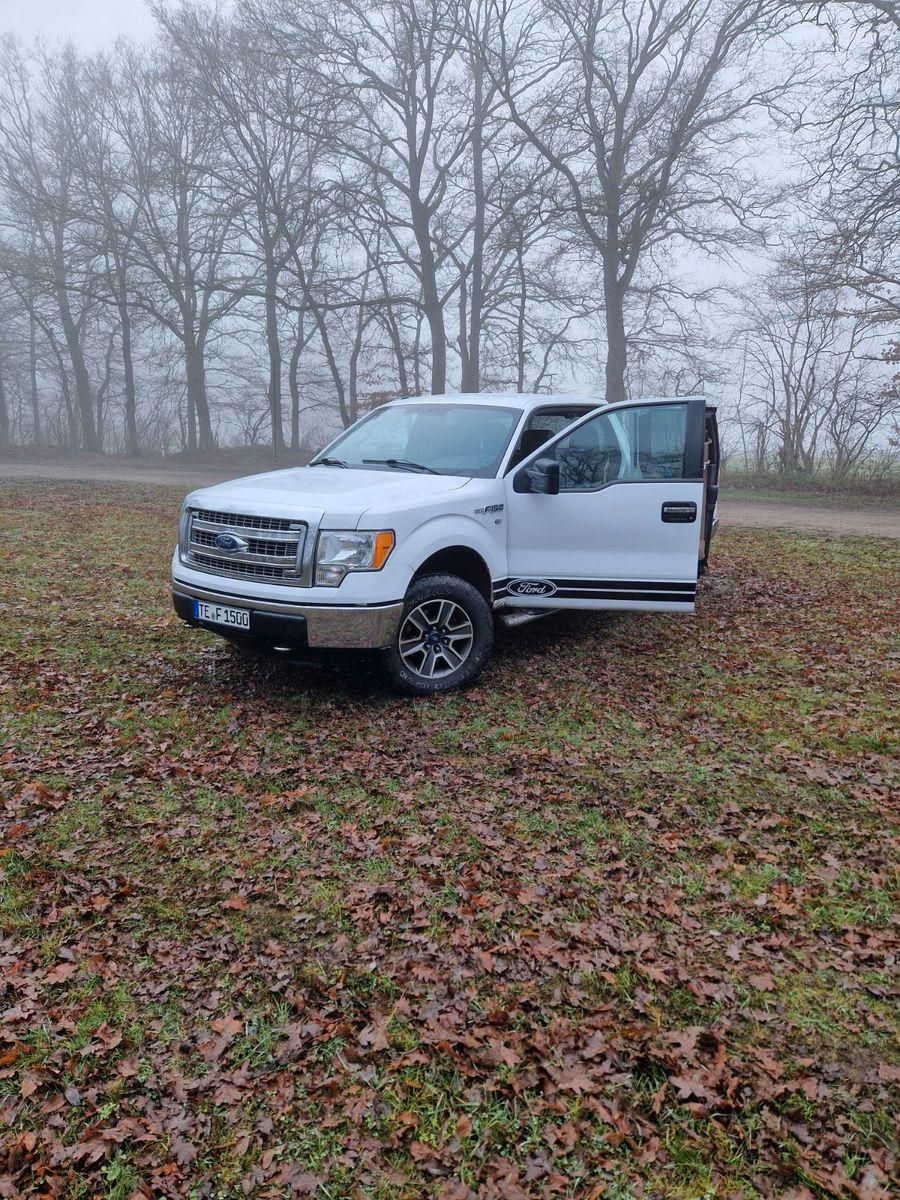Abbildung des Autos Ford F 150