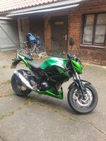 Motorrad Kawasaki Z300 Sachsen-Anhalt - Genthin Vorschau