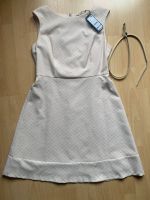 NEU !! COMMA Cocktail Kleid Gr.40 A-Linie rose rosa Hessen - Darmstadt Vorschau