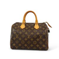 Louis Vuitton Speedy 25 Handtasche Canvas Klassiker Bayern - Hemau Vorschau