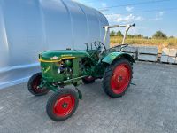 Deutz F1L712 mit Hydraulik Bj. 1959 Oldtimer Traktor Schlepper Baden-Württemberg - Kuppenheim Vorschau