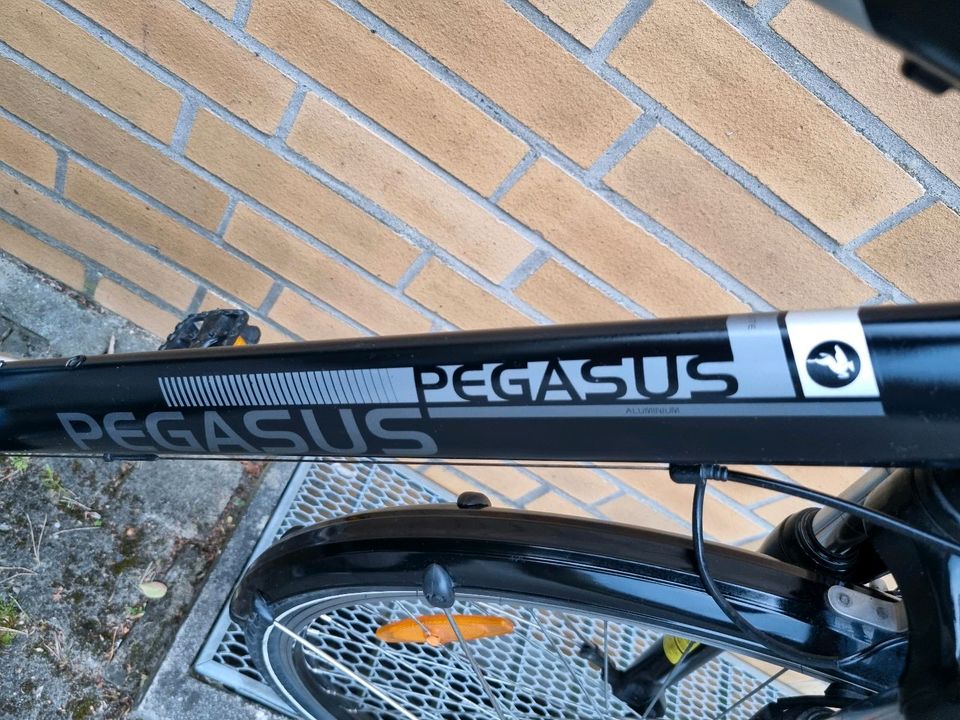 Pegasus Piazza Trekkingrad 28Zoll in Bad Bevensen