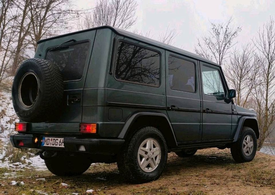 Mercedes G Klasse W463 in Magdeburg