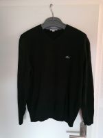 Lacoste Pulli Herren Gr. XL Leipzig - Burghausen-Rückmarsdorf Vorschau