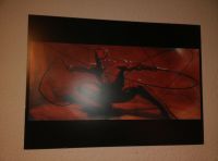 Daredevil Lithographie von Gabriele Dell'otto Baden-Württemberg - Heilbronn Vorschau