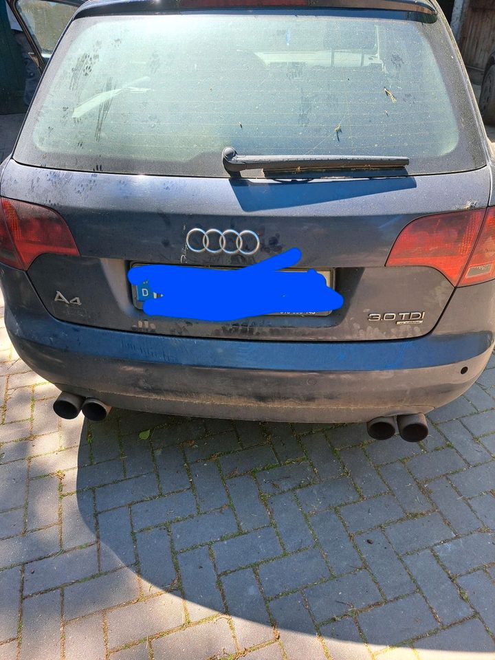 Audi A4 3,0 TDI Quattro in Westerholt