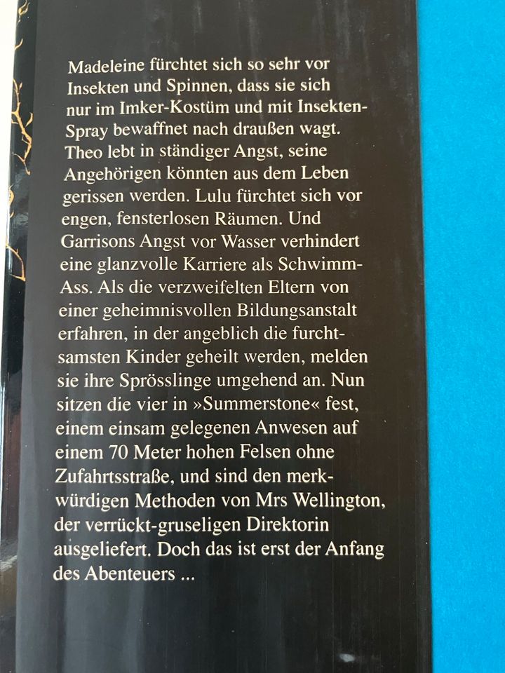 Das Geheimnis von Summerstone (Jugendbuch) in Regensburg