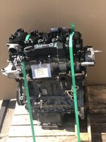 ✔️ Motor 1.6HDI 9HU 9H01 FIAT SCUDO 46TKM [mit Einspritzanlage] Berlin - Wilmersdorf Vorschau