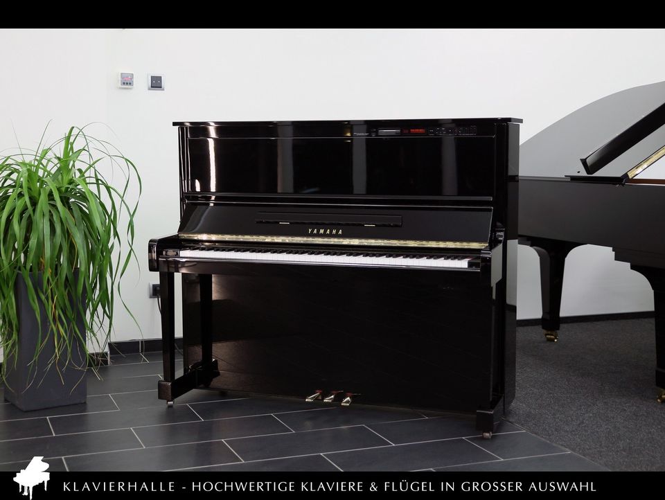 Yamaha Klavier / Disklavier, MX100A ★ Live-Konzerte ohne Pianist in Altenberge