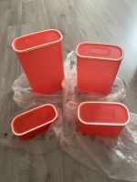 Tupperware Tupperdosen Set NEU Nordrhein-Westfalen - Meinerzhagen Vorschau