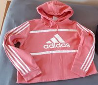 Sweat Adidas kurze Form Gr. 38-40 Bayern - Hemau Vorschau