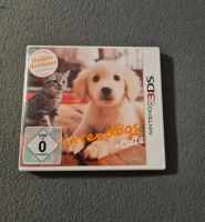 Nintendo 3DS Spiel Brandenburg - Letschin Vorschau