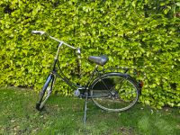 Hollandfahrrad Gazelle 28Zoll 57cm Rahmenhöhe schwarz Kr. München - Haar Vorschau