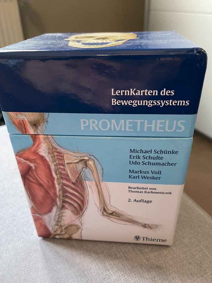 Kernkarten des Bewegungssystem/Physiotherapie in Oberhausen