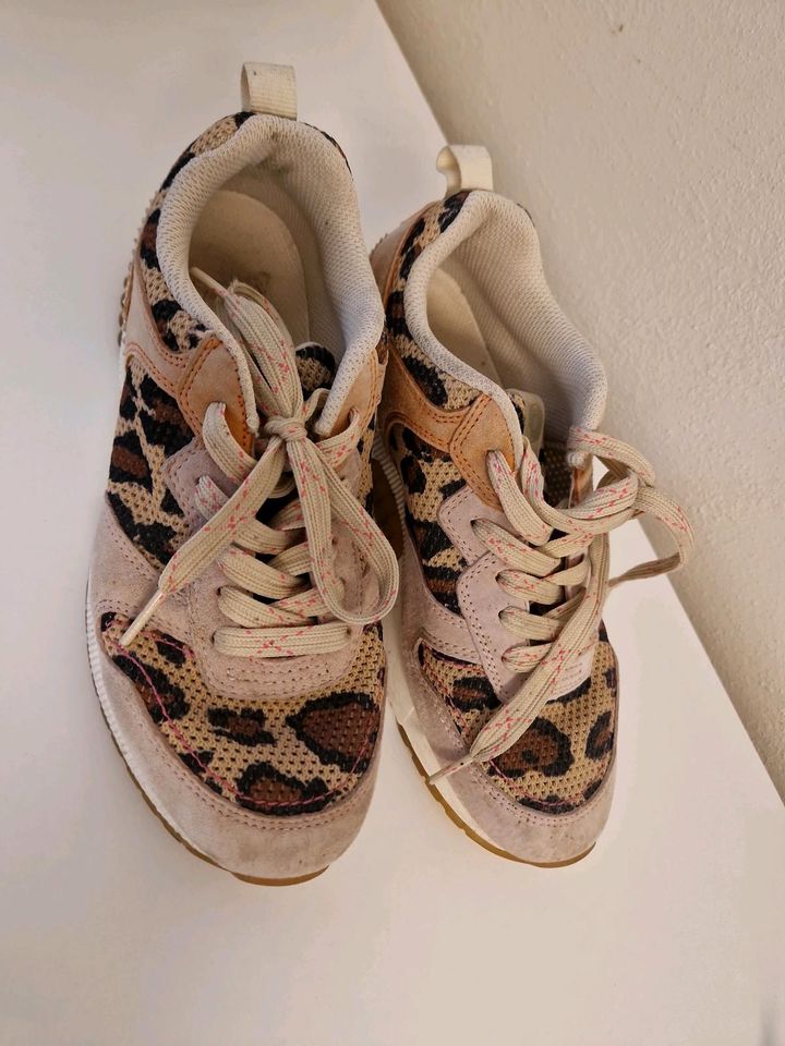 Scotch und Soda Sneaker in Hamminkeln