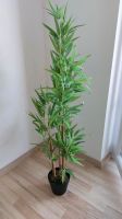 Bambus Kunstpflanze Kustbaum künstlich Bayern - Plattling Vorschau