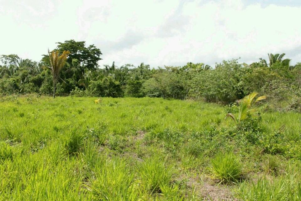 Schönes Grundstück im warmen & sonnigen Belize in Lage