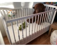 Babybett 120x60 Nordrhein-Westfalen - Bad Oeynhausen Vorschau