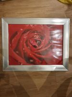 Bilderrahmen 20 x 30 Silber Rose Nordrhein-Westfalen - Beckum Vorschau