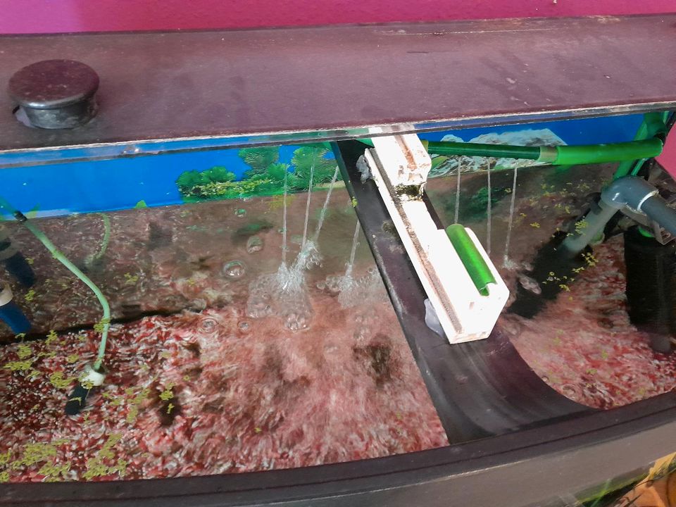 Juwel Aquarium 150 Liter in Schlüchtern