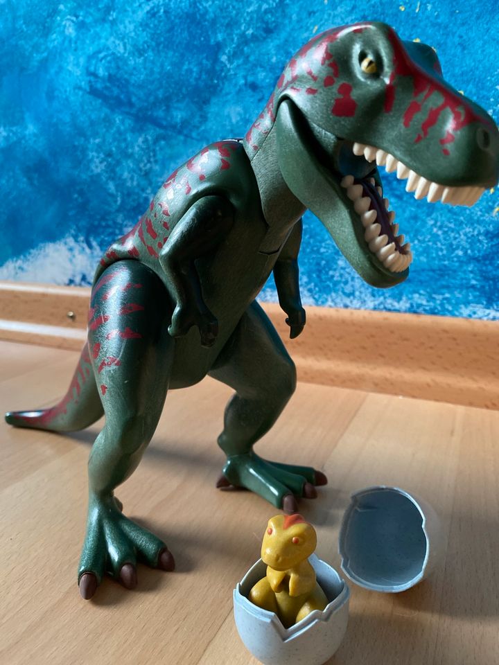 Playmobil Rex Dinosaurier in Salzgitter