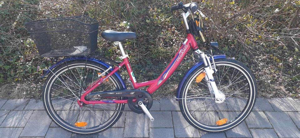 Wunderschönes Mädchen Fahrrad 24zoll 7gang Nexus in München