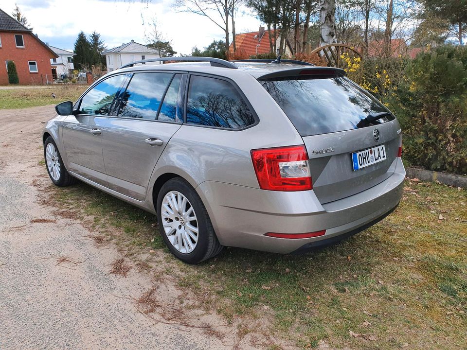 Skoda Octavia 1,6tdi Euro6 ohne Adblue in Oranienburg