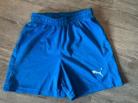 Puma Drycell Shorts Kinder / Gr. 140 Brandenburg - Königs Wusterhausen Vorschau