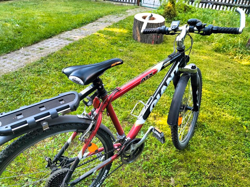 Mountainbike von Giant 26 Zoll in Fraureuth