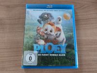 Bluray Ploey Bayern - Königstein Vorschau