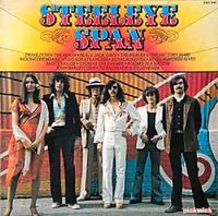 Steeleye Span ‎– Steeleye Span Vinyl Schallplatten LPs Sachsen - Sayda Vorschau