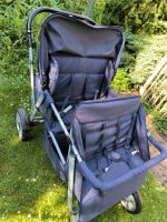 Krippenwagen "Helena" 4er Kinderwagen Tagesmutter Nordrhein-Westfalen - Krefeld Vorschau