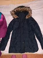 Jacke Tom Hilfiger Schwarz Original Neu Thüringen - Gerstungen Vorschau