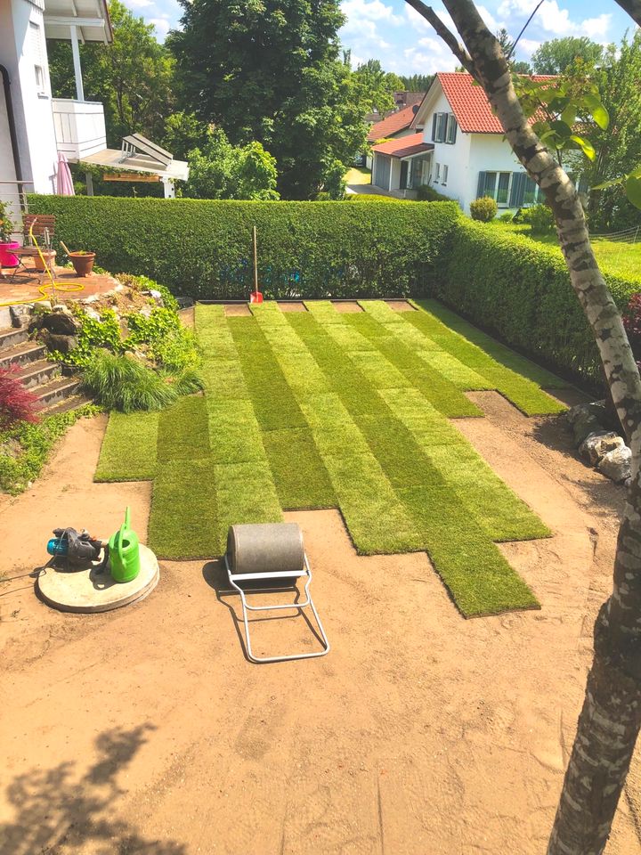 Gartenbau,Pflastern,Gartengestaltung,Bagger,Hecke,Terrasse,Garten in München