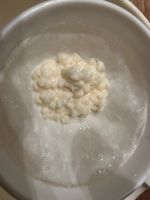 Milchkefirpilz, Kefirknolle als Kefir Starter Set Hessen - Rosbach (v d Höhe) Vorschau