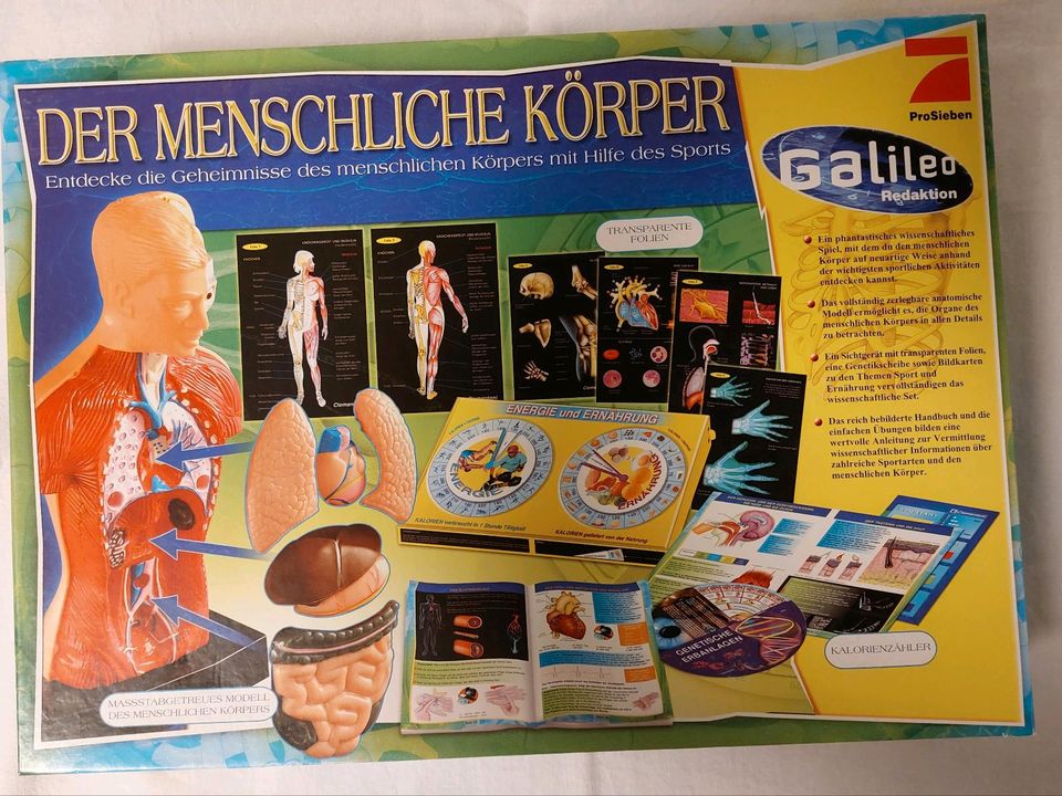 Galileo  Der menschliche Körper  von Clementoni in Wolmirstedt