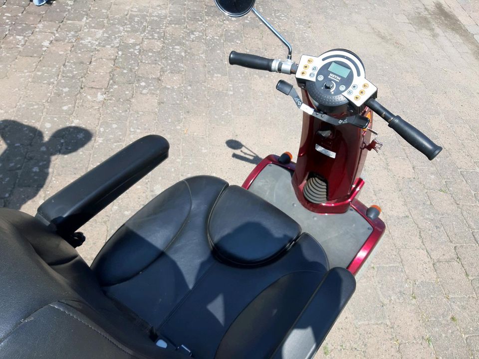 Elektro-Scooter, AOK Chopper, Meyra Ortopedia 2.664 in Reinhardshagen