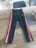 - Neu-Jogginghose Adidas Gr.152 Sachsen - Wiedemar Vorschau