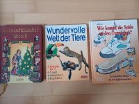 Kinderbücher-Set Nordrhein-Westfalen - Werl Vorschau