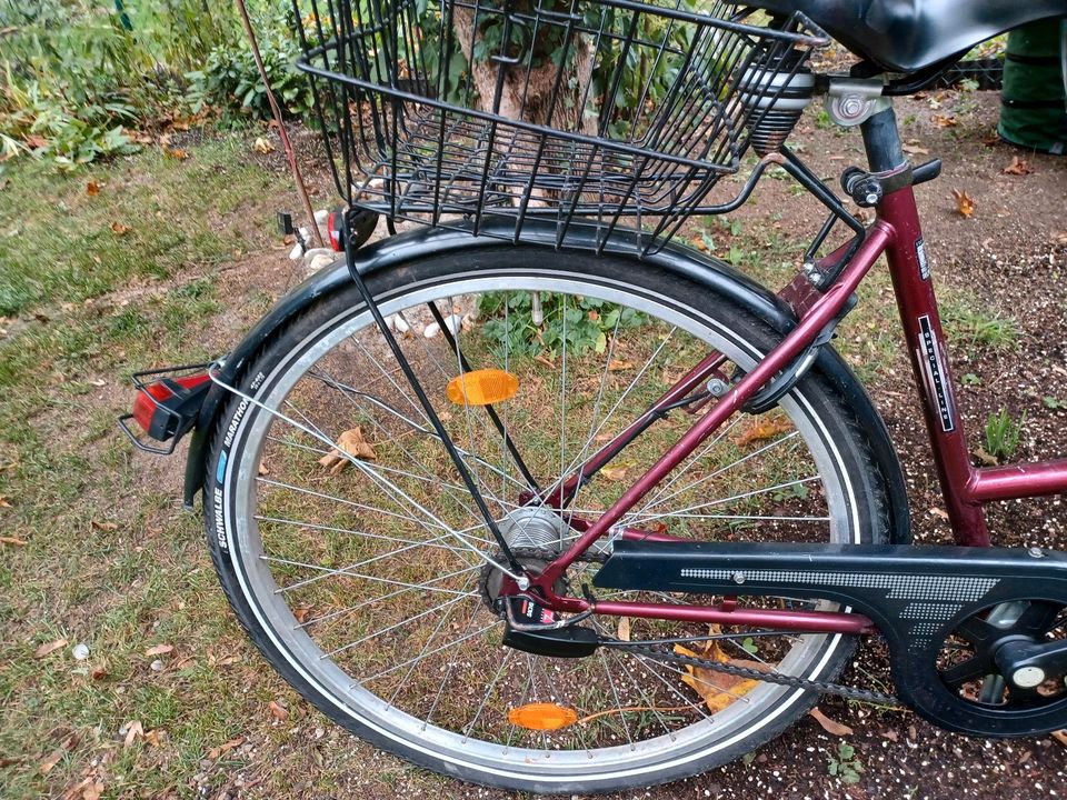 Damen Fahrrad in Aschheim