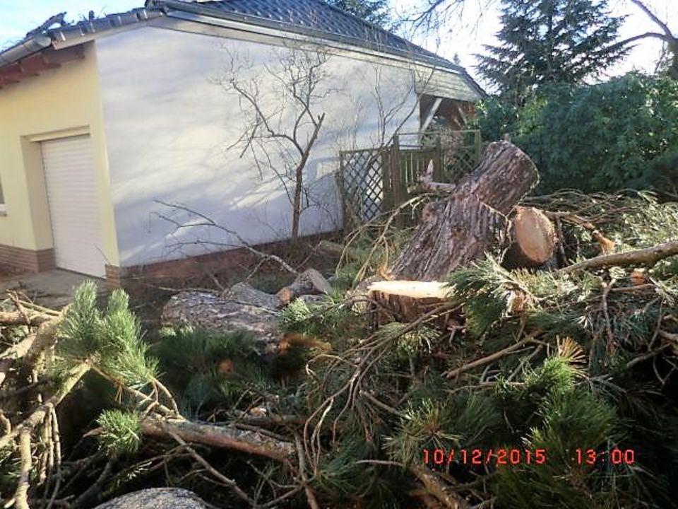 Baumfällarbeiten, Stubben Fräse, Astschredder, Benzinsichel usw. in Lauchhammer