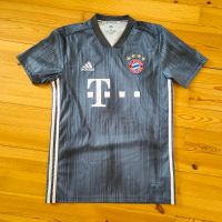 FC Bayern München Trikot adidas Größe S neuwertig grau München - Ludwigsvorstadt-Isarvorstadt Vorschau