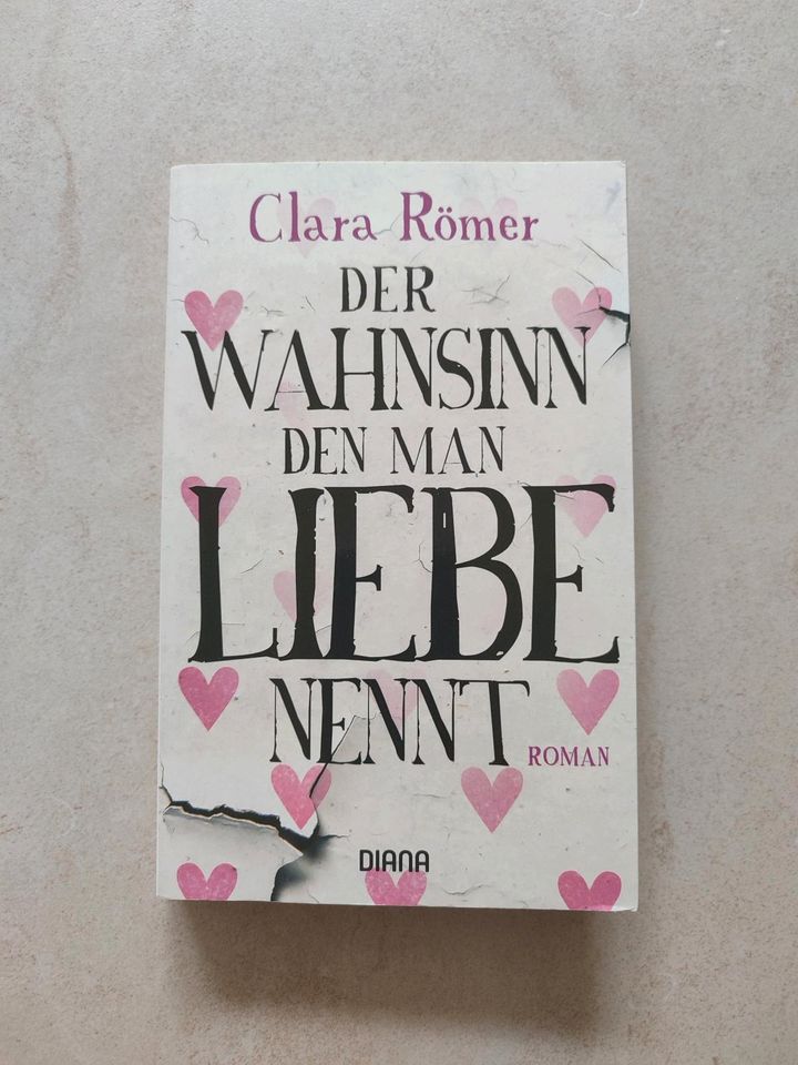 Buch, Bücher, Roman je 1 EUR in Geroldshausen