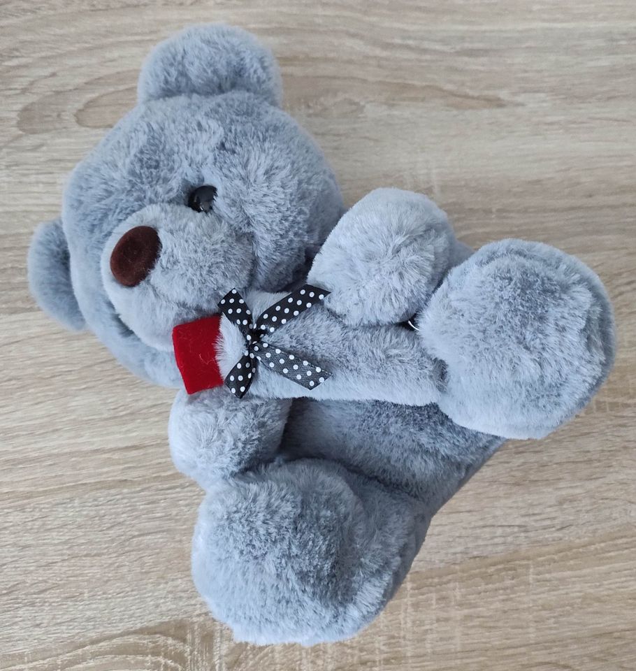 Plüschbär Plüschtier Stofftier Bär Teddybär 22 cm in Stuttgart