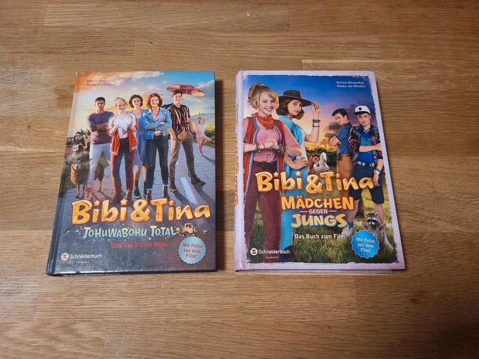 Bibi und Tina Bücher , zum film, Mädchen gegen Jungs in Seevetal